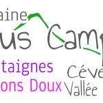 Domaine LOUS CAMPS